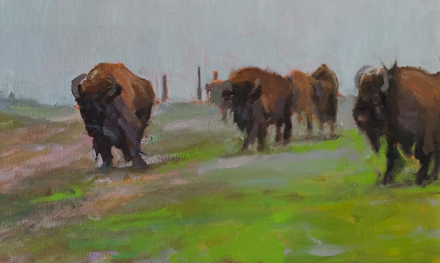 A plein air painting of Catalina's wild bison herd moving across a green meadow