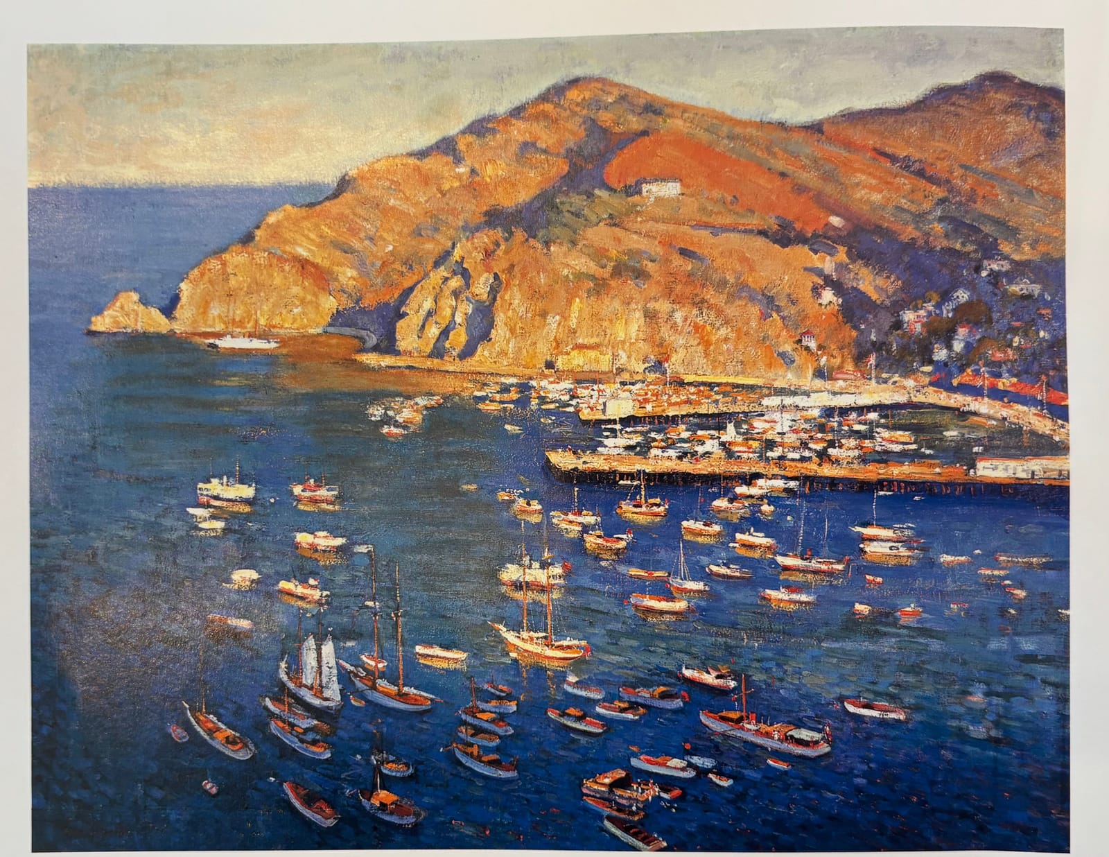 Painting of Avalon Bay from above, filled with moored boats beneath sunlit orange hills